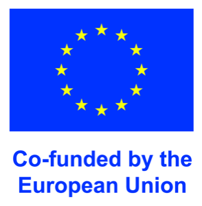 Co-funded by the European Union